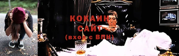 альфа пвп Медвежьегорск