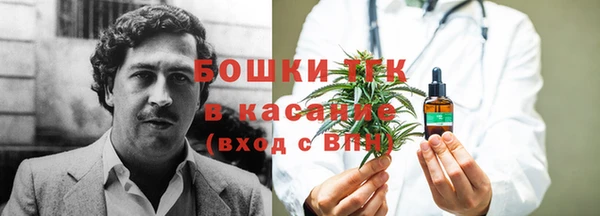 альфа пвп Медвежьегорск