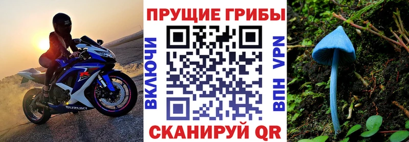 даркнет сайт  Шиханы  kraken зеркало  Псилоцибиновые грибы Magic Shrooms 